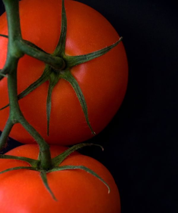 Vine Ripened