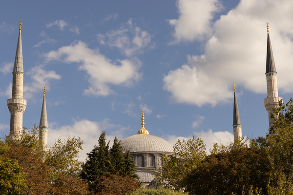Mosque behind the greenery