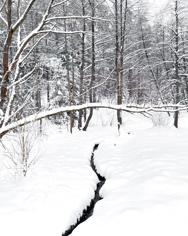 Weaving its way