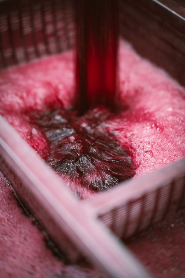 Liquid Velvet in Motion