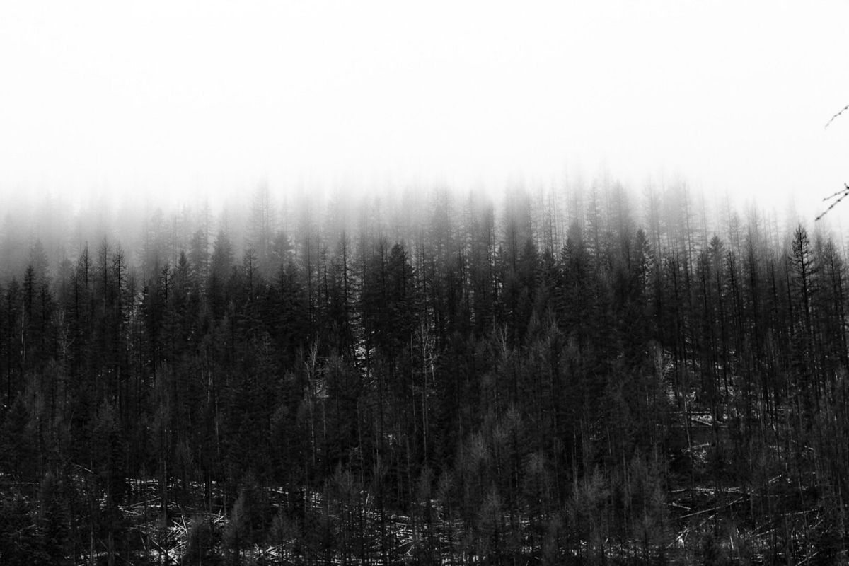 IMG_1970