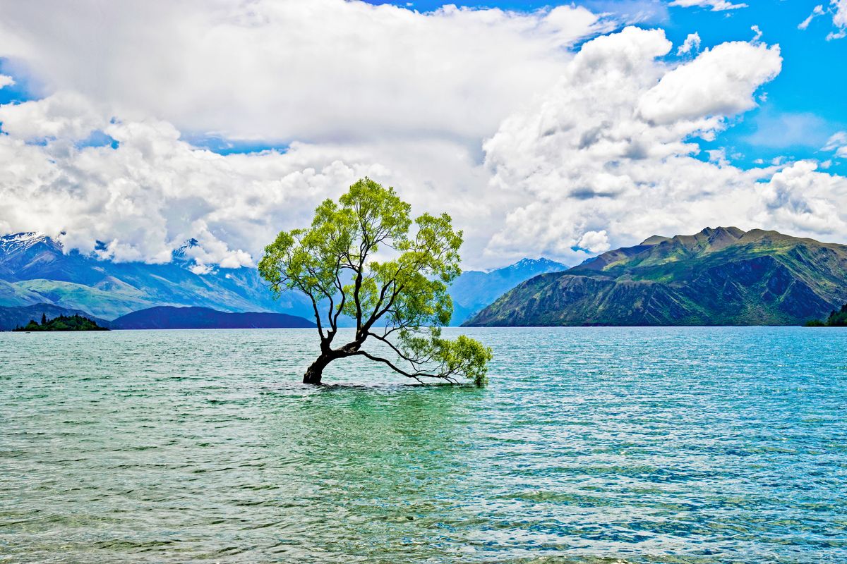 Wanaka, New Zealand