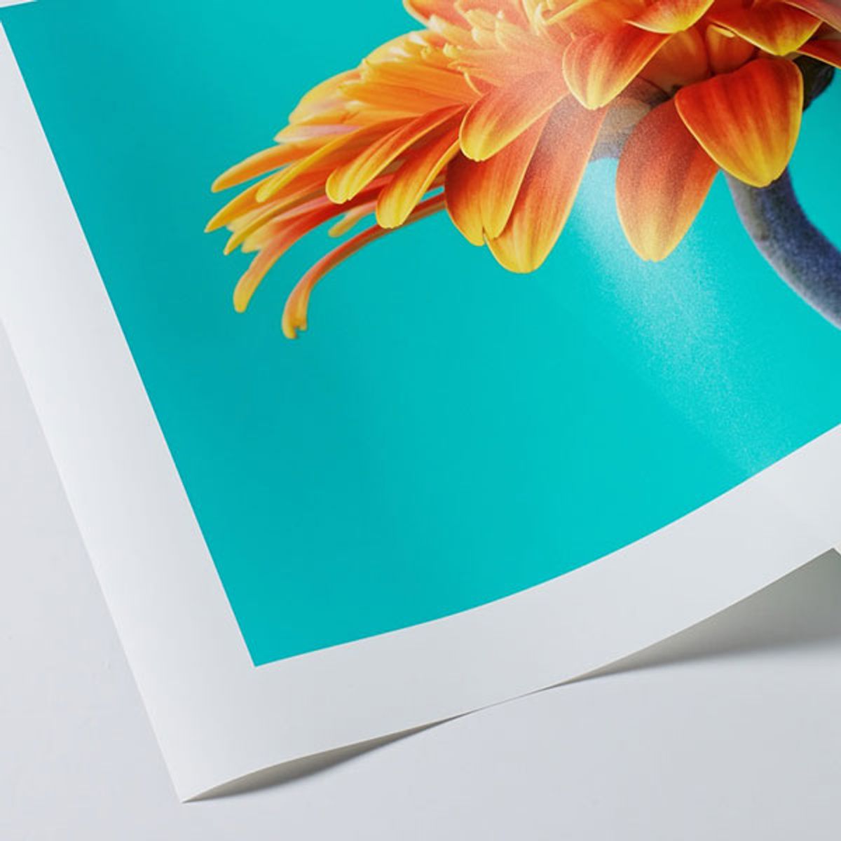 professional-prints-visual-society