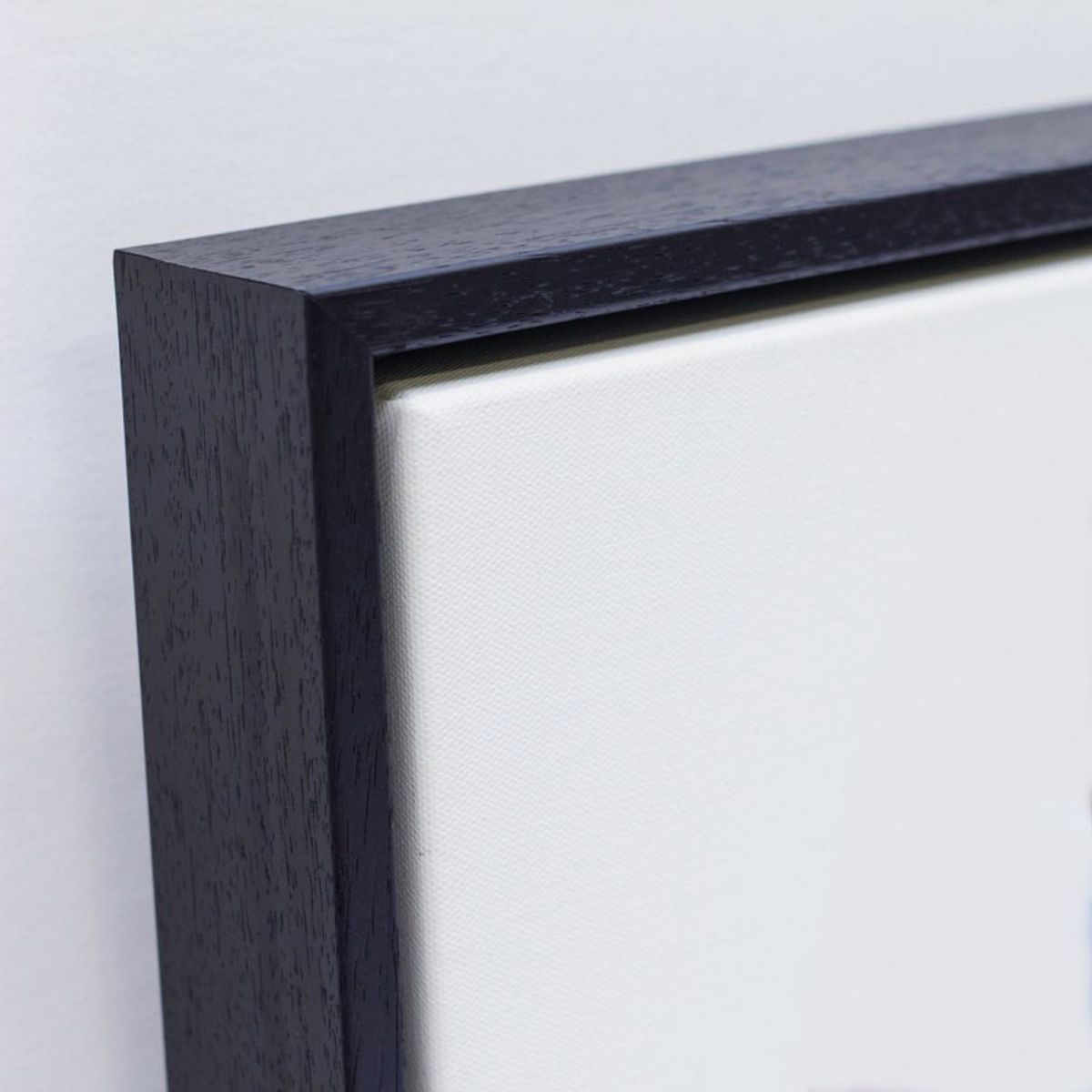 Framed Canvas Wraps Visual Society