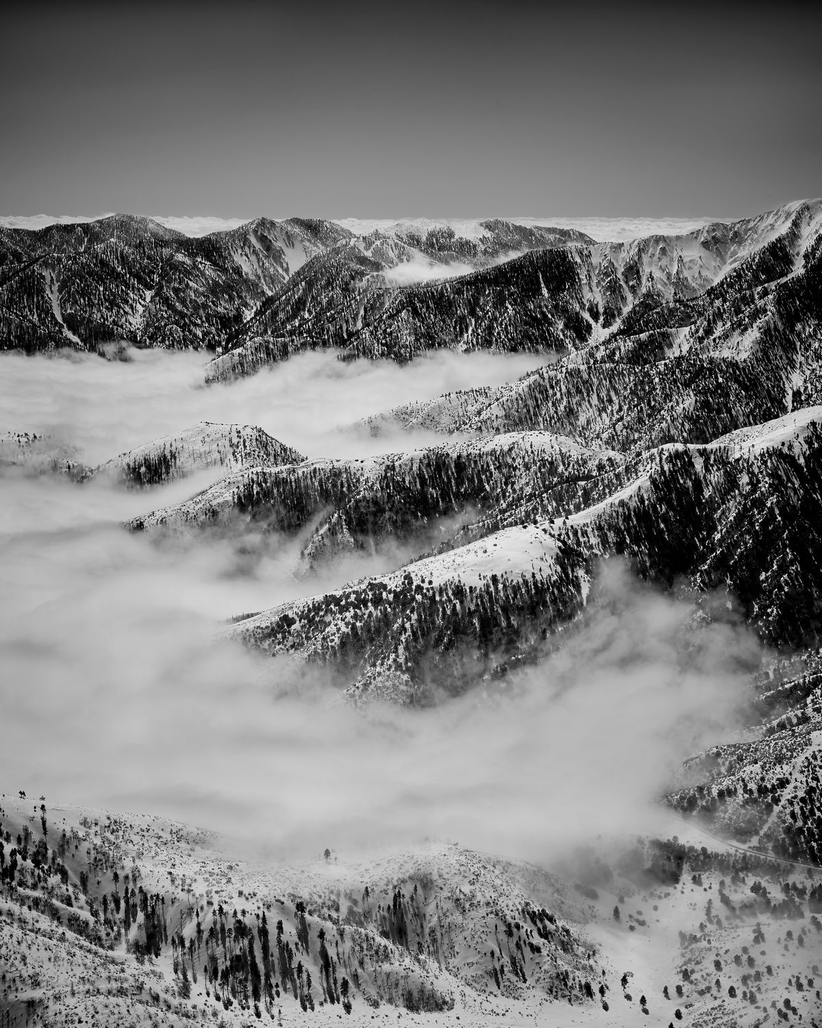 Angeles Forrest Winter